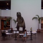 sdnhm