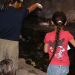sealife