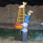 sealife