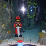 sealife