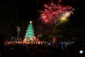 Tony Hawk Tree Lighting at LEGOLAND® California tonyhawktree_legoland