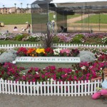 flowerfields