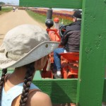 tractor_ride_flowerfields