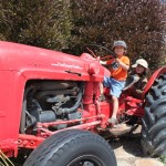 flowerfieldsoldtractor