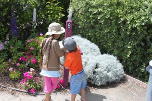 Passport Stamping at The Flower Fields at Carlsbad Ranch passportflowerfields